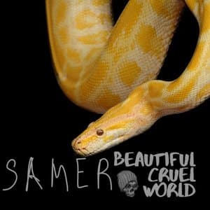 Beautiful Cruel World