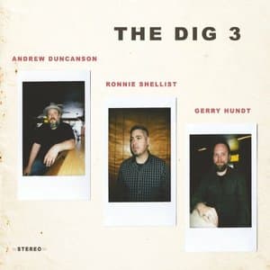 The Dig 3