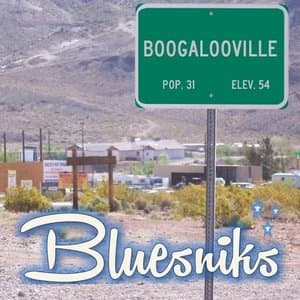 Boogalooville