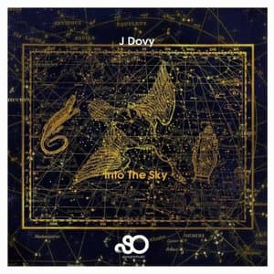 Into the Sky