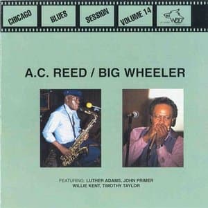 Chicago Blues Session Vol. 14