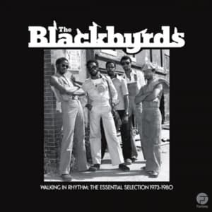 Walking In Rhythm: The Essential Selection 1973-1980