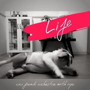 Life