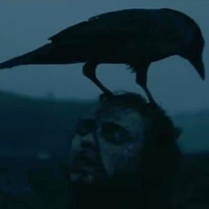 A Gathering of Crows
