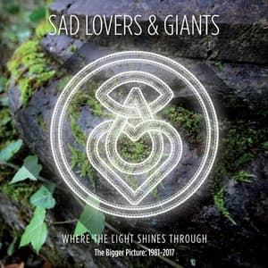 Where the Light Shines Through: The Bigger Picture 1981-2017 (Vol. 5)