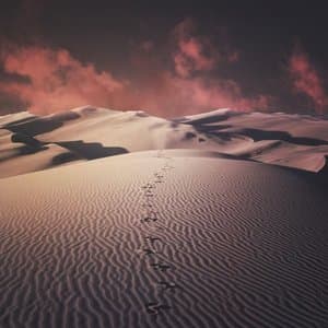 Path of Time