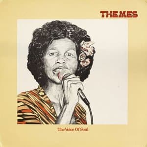 The Voice Of Soul