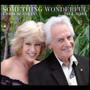 Something Wonderful