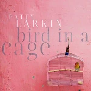 Bird In A Cage