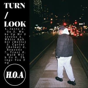 Turn And Look