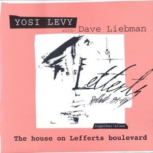 The House on Lefferts Boulevard