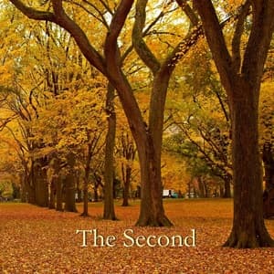 The Second