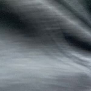 With the Wind