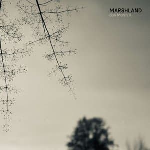 Marshland