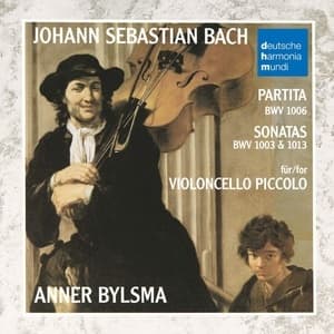 Violoncello Piccolo (Anner Bylsma)