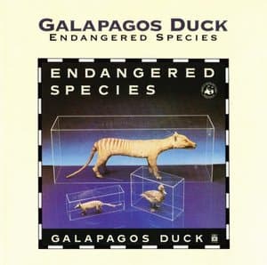 Endangered Species