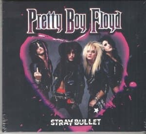 Stray Bullet