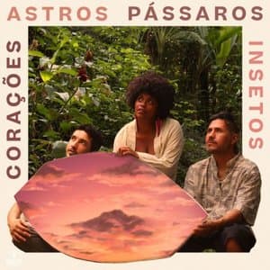 Coracoes, Astros, Passaros e Insetos