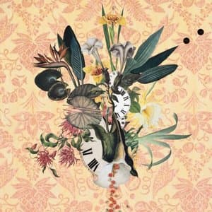 Wildflowers, Vol. 3