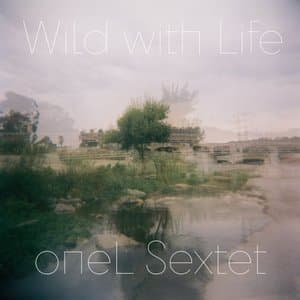 Wild with Life