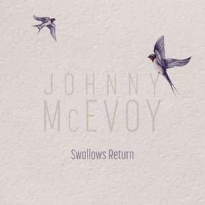 Swallows Return
