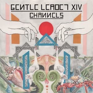 Channels