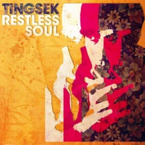Restless Soul