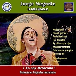 Yo soy mexicano!