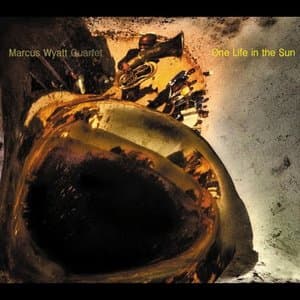 One Life in the Sun