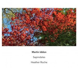 Martin Iddon: Sapindales