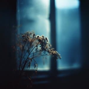This Little Life