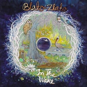 In the Wake