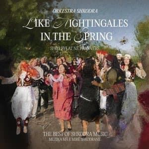 Like Nightingales In The Spring