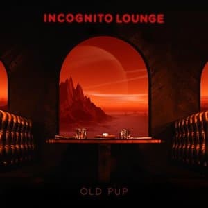 Incognito Lounge