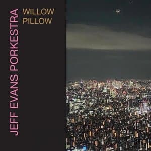 Willow Pillow
