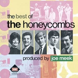 The Best Of The Honeycombs