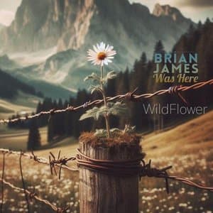 Wildflower