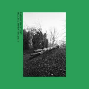 Selected Ambient Projects