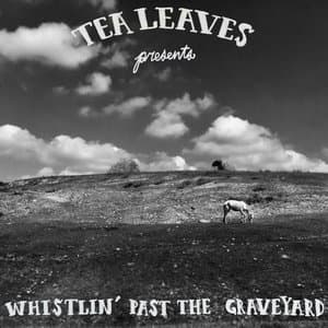 Whistlin Past The Graveyard