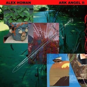 Ark Angel II