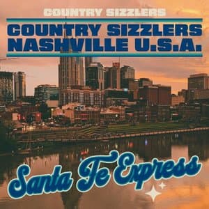 Country Sizzlers - 20 Big Hits From Nashville U.S.A