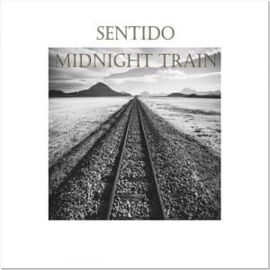 Midnight Train