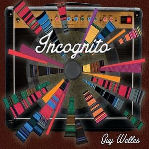 Incognito