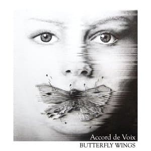 Butterfly Wings