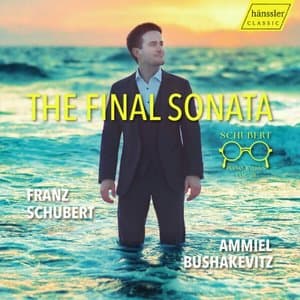 Schubert: Piano Works, Vol. 3 - The Final Sonata