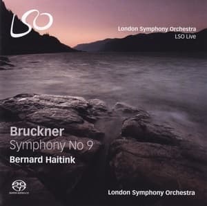 Symphony No. 9 (Bernard Haitink)
