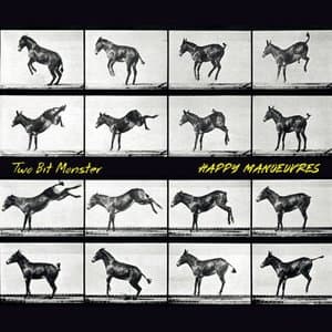 Happy Manoeuvres