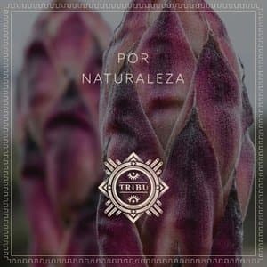 Por Naturaleza