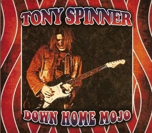 Down Home Mojo