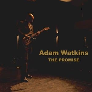 The Promise